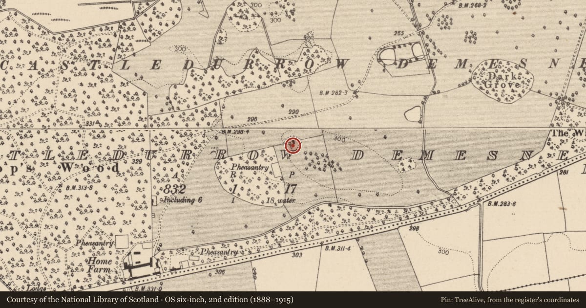 Ordnance Survey six-inch map, 2nd edition (1888–1915) covering the location of Enclosure, Castledurrow Demesne, County Laois, with a pin at the register's coordinates