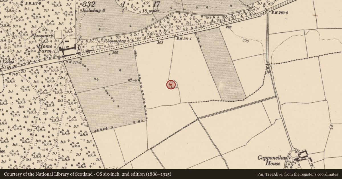 Ordnance Survey six-inch map, 2nd edition (1888–1915) covering the location of Enclosure, Durrow Townparks, County Laois, with a pin at the register's coordinates