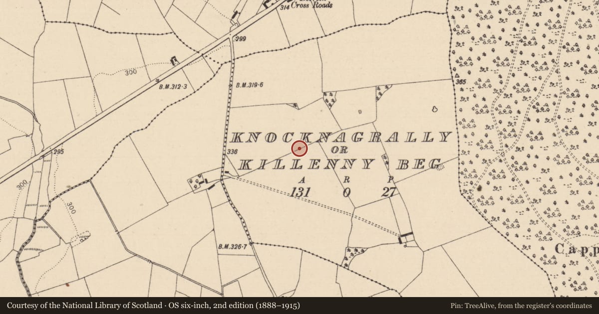 Ordnance Survey six-inch map, 2nd edition (1888–1915) covering the location of Enclosure, Knocknagrally Or Killenny Beg, County Laois, with a pin at the register's coordinates