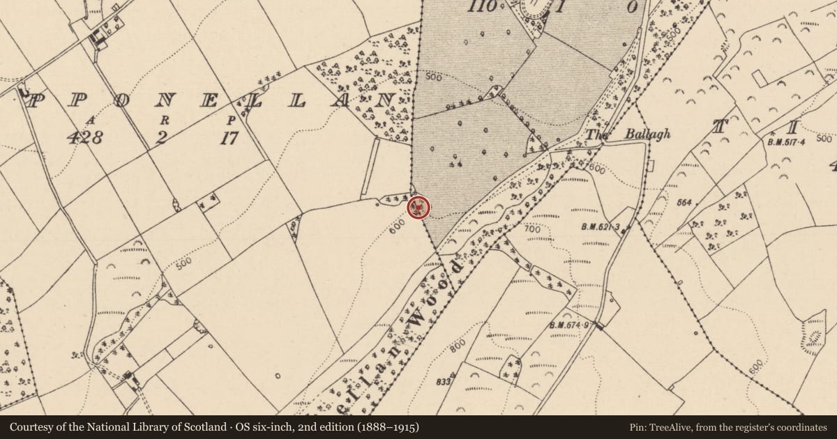 Ordnance Survey six-inch map, 2nd edition (1888–1915) covering the location of Enclosure, Capponellan, Clonageera, County Laois, with a pin at the register's coordinates