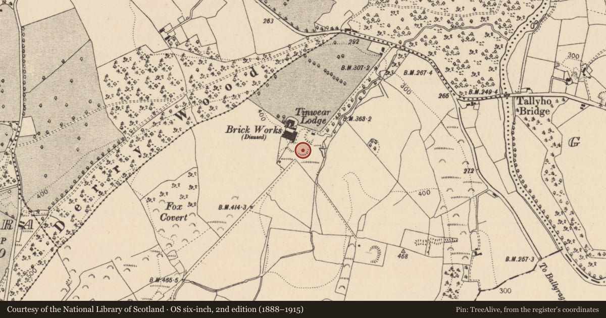 Ordnance Survey six-inch map, 2nd edition (1888–1915) covering the location of Field boundary, Tinwear, County Laois, with a pin at the register's coordinates