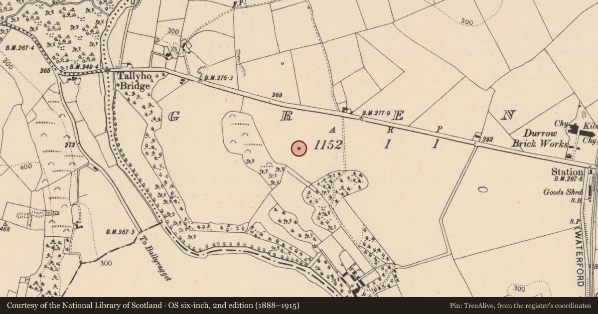 Ordnance Survey six-inch map, 2nd edition (1888–1915) covering the location of Enclosure, Grenan, County Laois, with a pin at the register's coordinates
