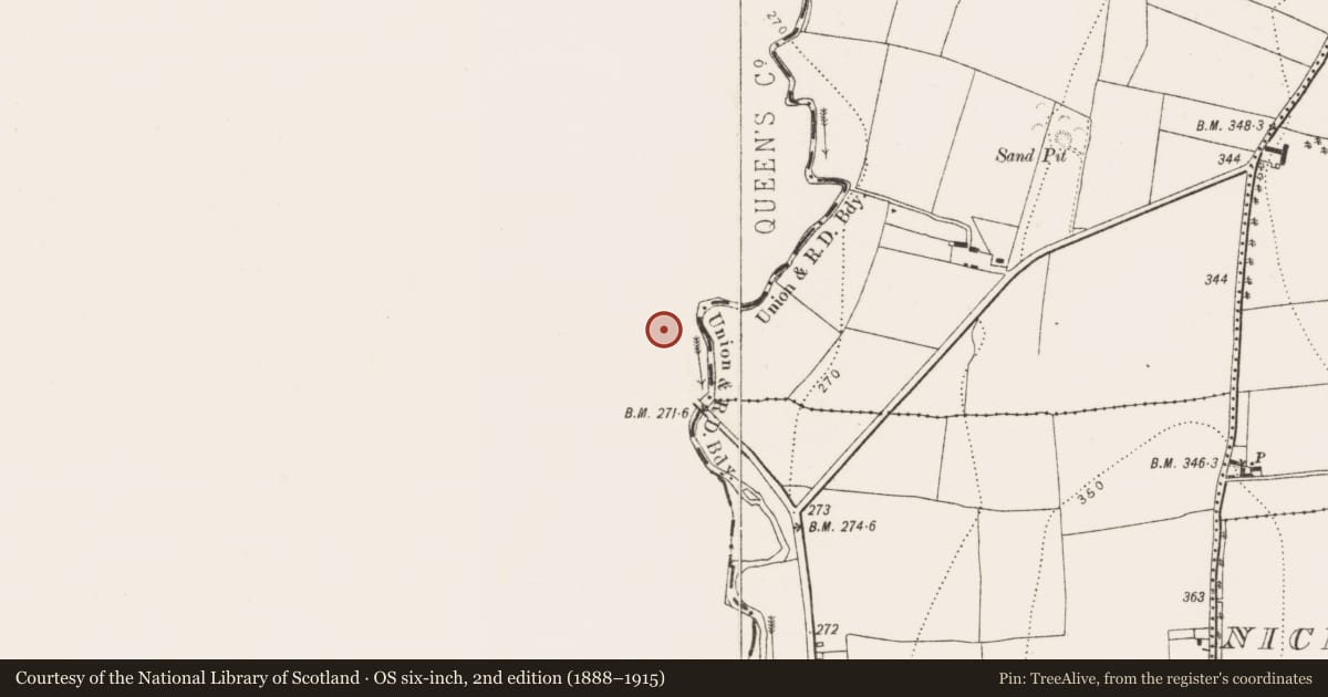 Ordnance Survey six-inch map, 2nd edition (1888–1915) covering the location of Church, Glebe, County Laois, with a pin at the register's coordinates