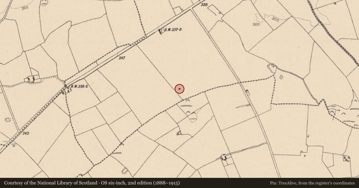 Ordnance Survey six-inch map, 2nd edition (1888–1915) covering the location of Enclosure, Newtown, County Laois, with a pin at the register's coordinates