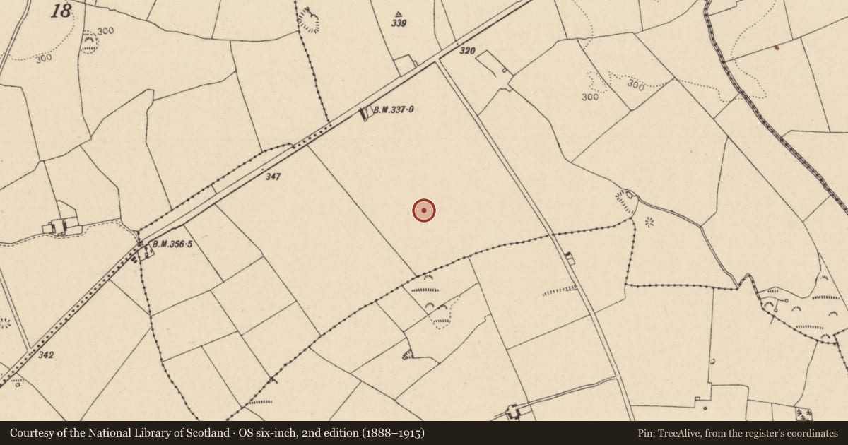 Ordnance Survey six-inch map, 2nd edition (1888–1915) covering the location of Linear earthwork, Newtown, County Laois, with a pin at the register's coordinates