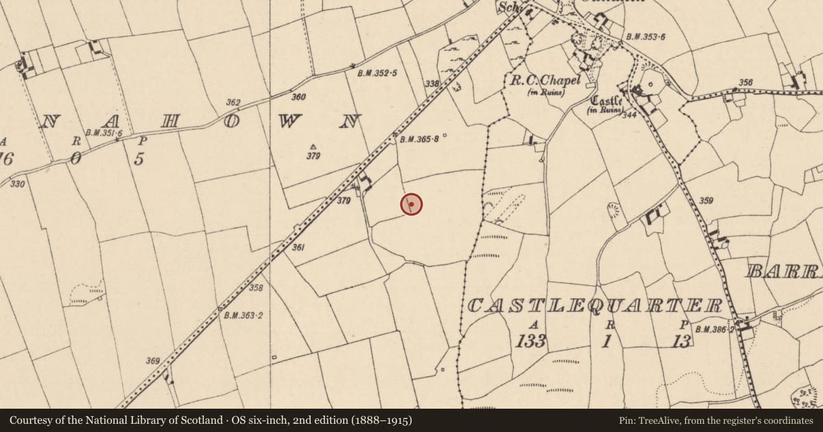 Ordnance Survey six-inch map, 2nd edition (1888–1915) covering the location of Enclosure, Scrub And Glenmacolla, County Laois, with a pin at the register's coordinates