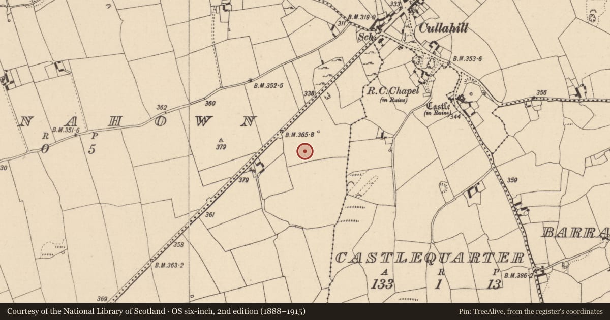 Ordnance Survey six-inch map, 2nd edition (1888–1915) covering the location of Enclosure, Scrub And Glenmacolla, County Laois, with a pin at the register's coordinates