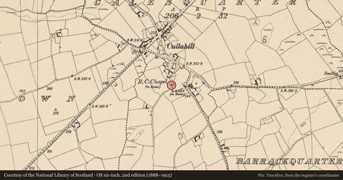 Ordnance Survey six-inch map, 2nd edition (1888–1915) covering the location of Church, Castlequarter, County Laois, with a pin at the register's coordinates