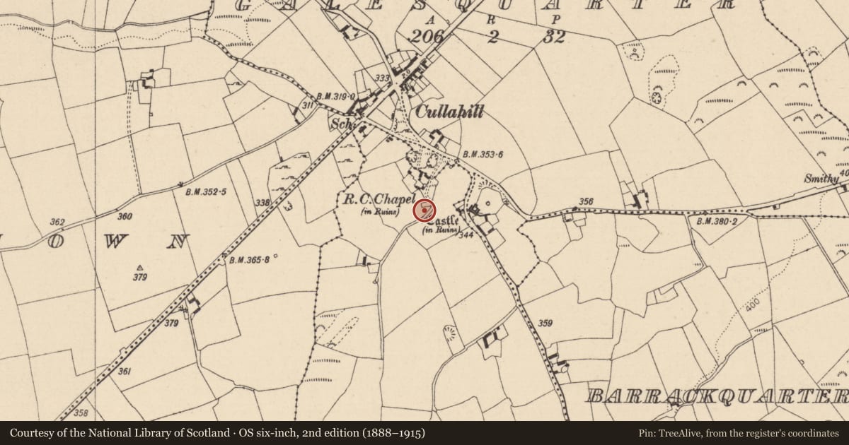 Ordnance Survey six-inch map, 2nd edition (1888–1915) covering the location of Graveyard, Castlequarter, County Laois, with a pin at the register's coordinates