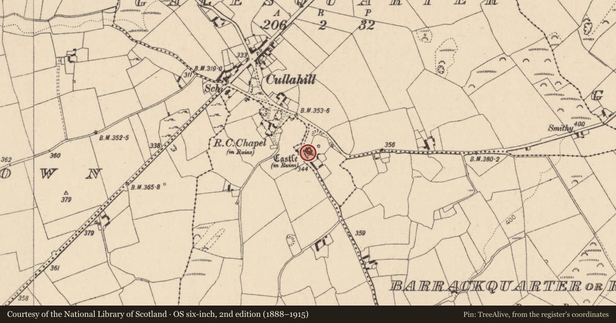 Ordnance Survey six-inch map, 2nd edition (1888–1915) covering the location of Castle - tower house, Galesquarter, County Laois, with a pin at the register's coordinates