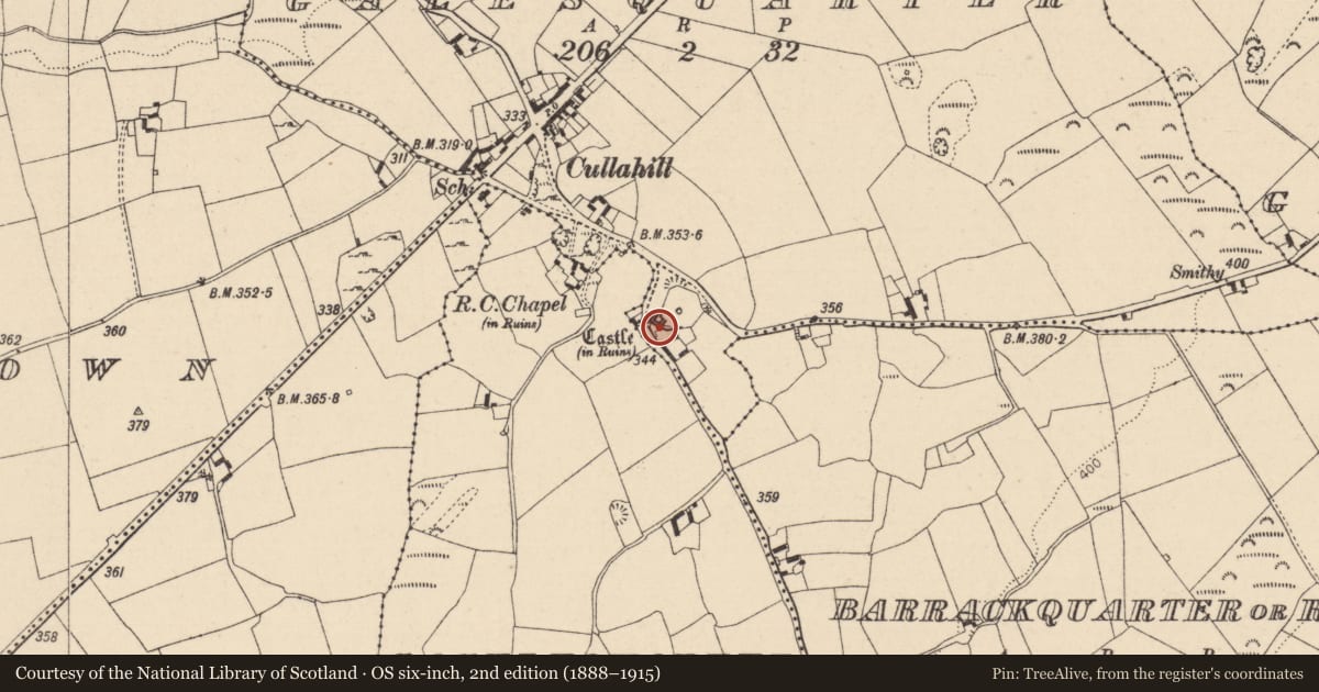 Ordnance Survey six-inch map, 2nd edition (1888–1915) covering the location of Sheela-na-gig, Galesquarter, County Laois, with a pin at the register's coordinates