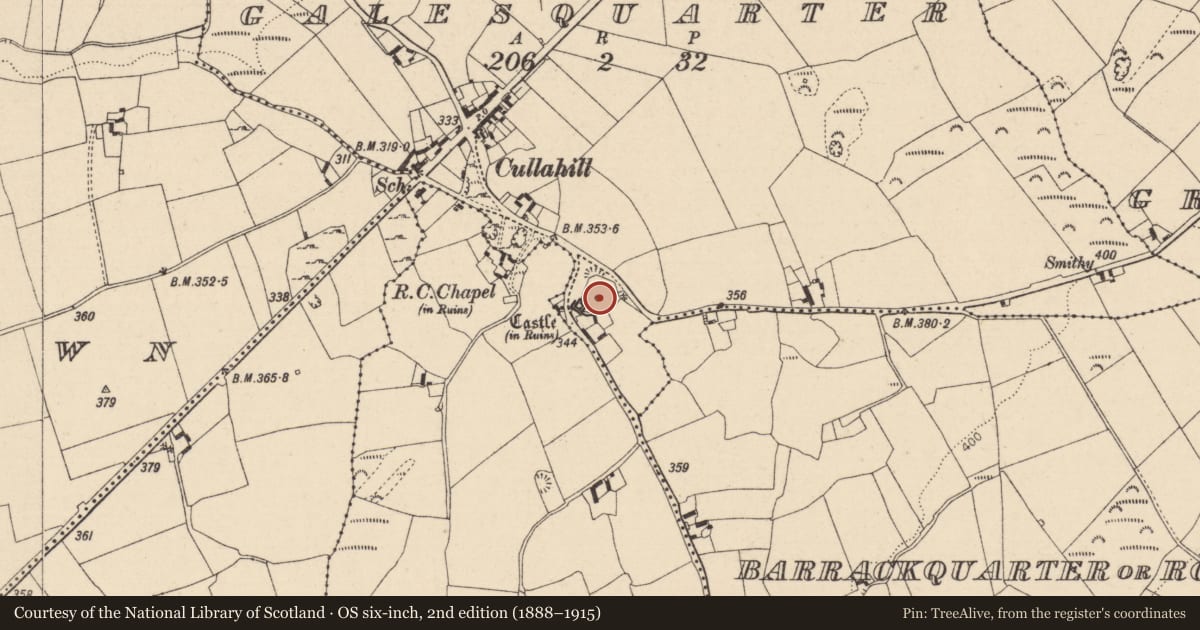 Ordnance Survey six-inch map, 2nd edition (1888–1915) covering the location of Well, Galesquarter, County Laois, with a pin at the register's coordinates