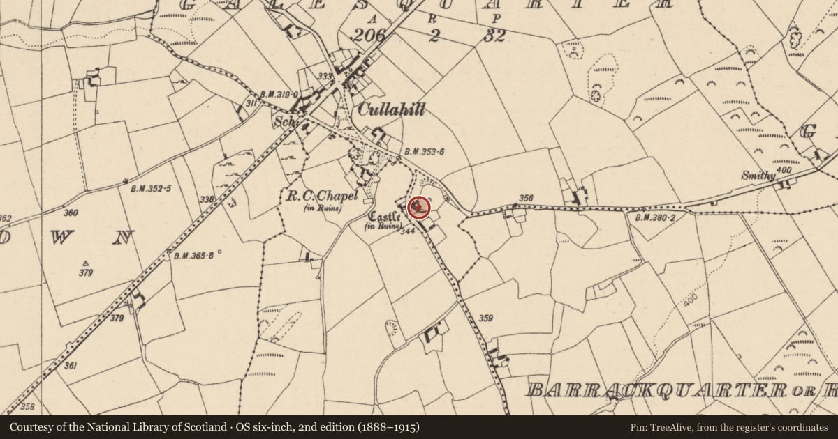 Ordnance Survey six-inch map, 2nd edition (1888–1915) covering the location of Bawn, Galesquarter, County Laois, with a pin at the register's coordinates