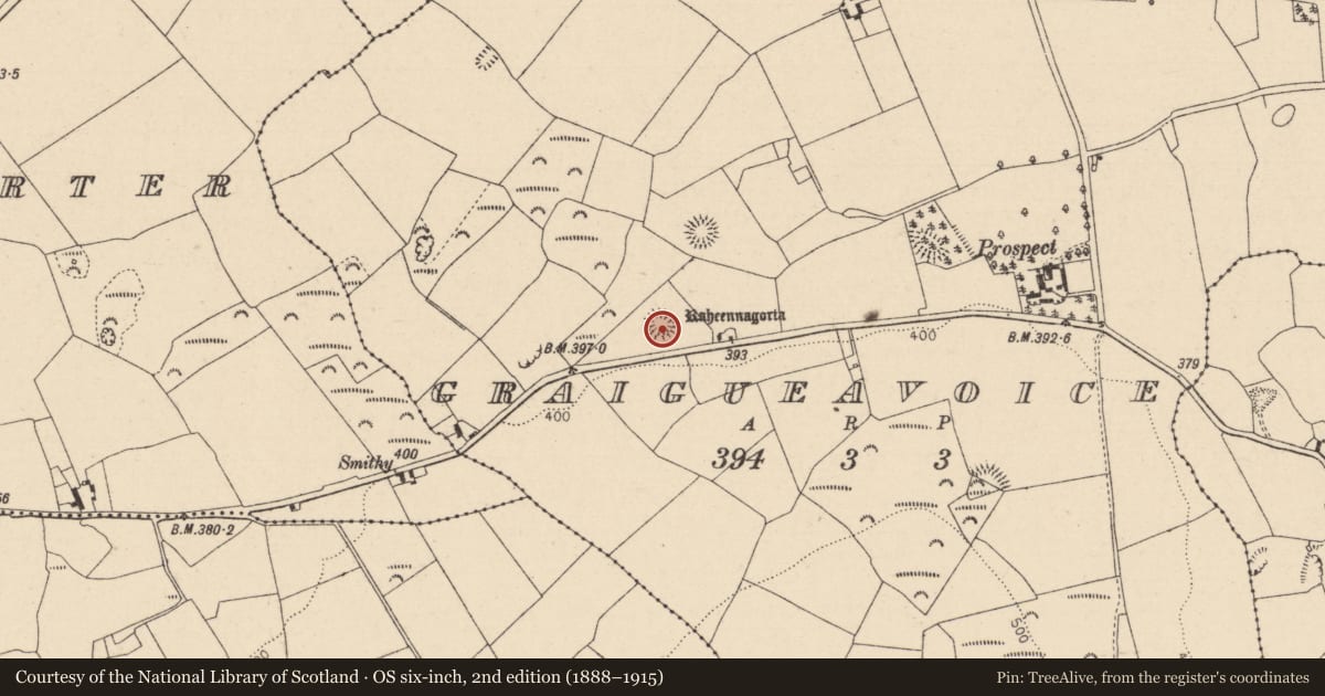 Ordnance Survey six-inch map, 2nd edition (1888–1915) covering the location of Ringfort - rath, Graigueavoice, County Laois, with a pin at the register's coordinates
