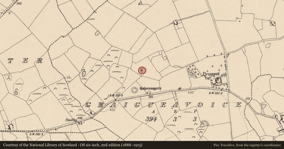Ordnance Survey six-inch map, 2nd edition (1888–1915) covering the location of Enclosure, Graigueavoice, County Laois, with a pin at the register's coordinates