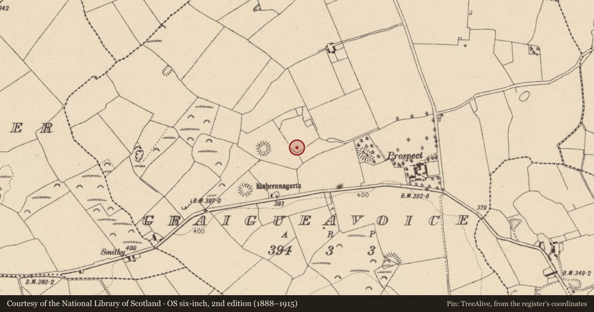 Ordnance Survey six-inch map, 2nd edition (1888–1915) covering the location of Enclosure, Graigueavoice, County Laois, with a pin at the register's coordinates