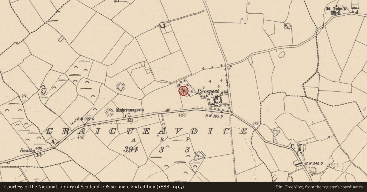 Ordnance Survey six-inch map, 2nd edition (1888–1915) covering the location of Ringfort - unclassified, Graigueavoice, County Laois, with a pin at the register's coordinates