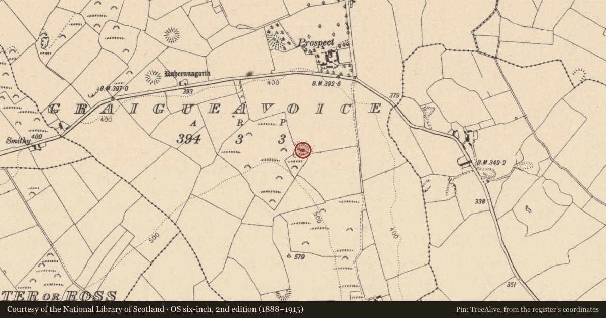 Ordnance Survey six-inch map, 2nd edition (1888–1915) covering the location of Enclosure, Graigueavoice, County Laois, with a pin at the register's coordinates