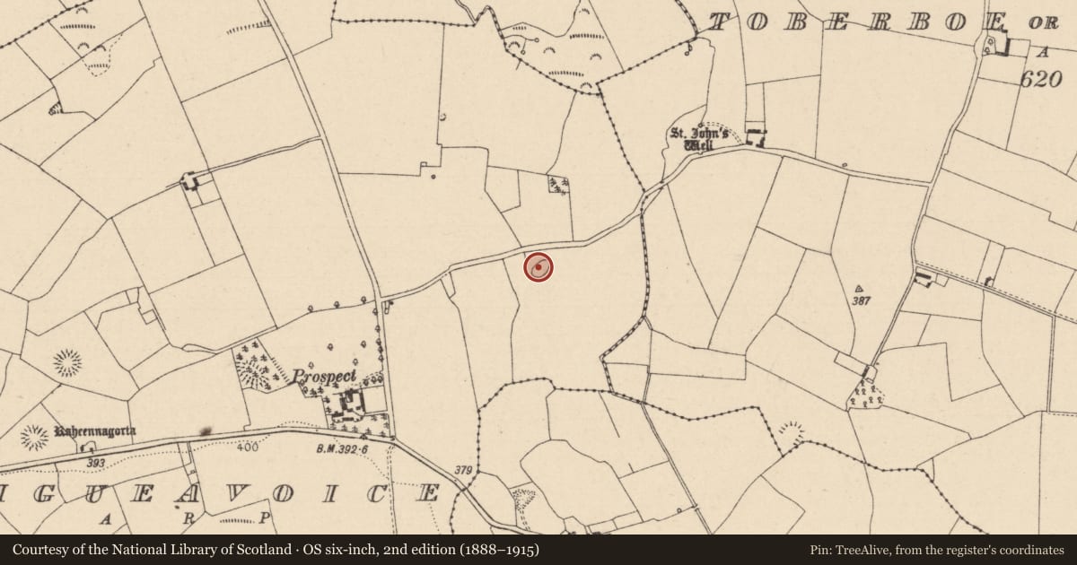 Ordnance Survey six-inch map, 2nd edition (1888–1915) covering the location of Enclosure, Graigueavoice, County Laois, with a pin at the register's coordinates