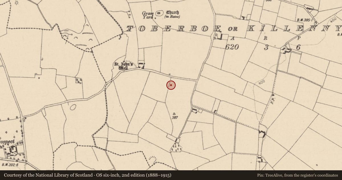 Ordnance Survey six-inch map, 2nd edition (1888–1915) covering the location of Ringfort - unclassified, Toberboe Or Killenny More, County Laois, with a pin at the register's coordinates