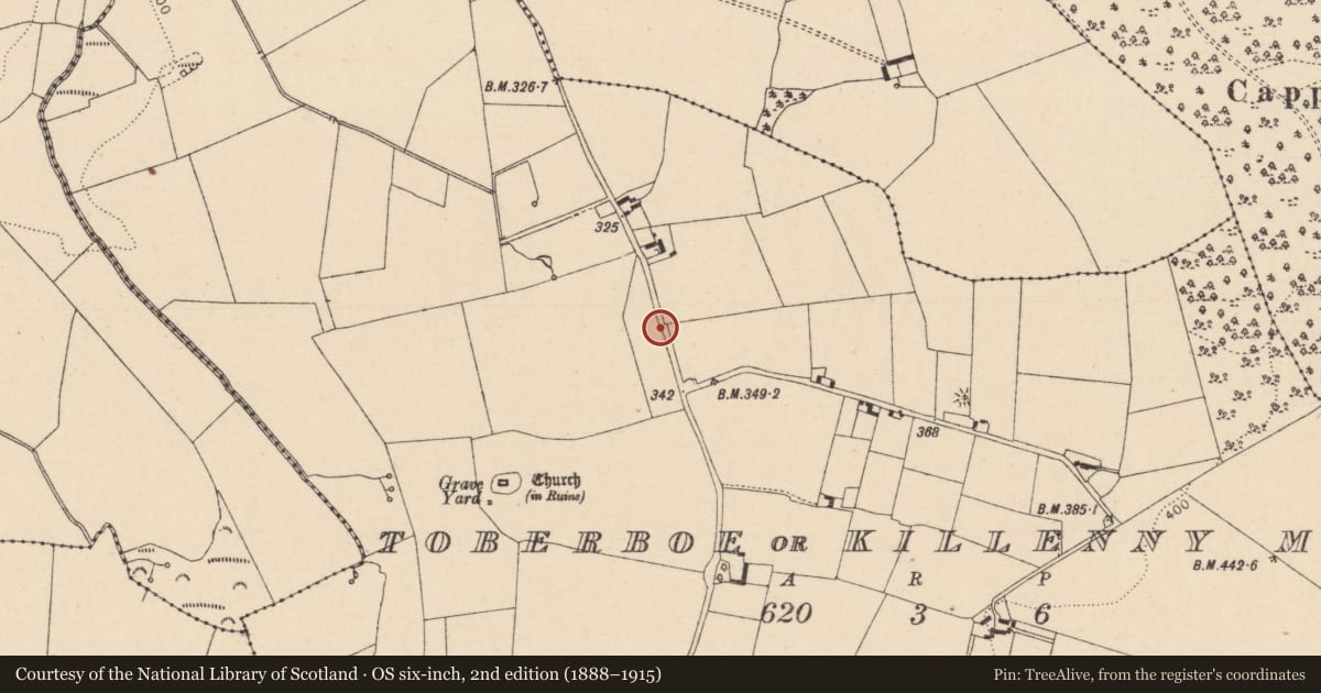 Ordnance Survey six-inch map, 2nd edition (1888–1915) covering the location of Enclosure, Toberboe Or Killenny More, County Laois, with a pin at the register's coordinates