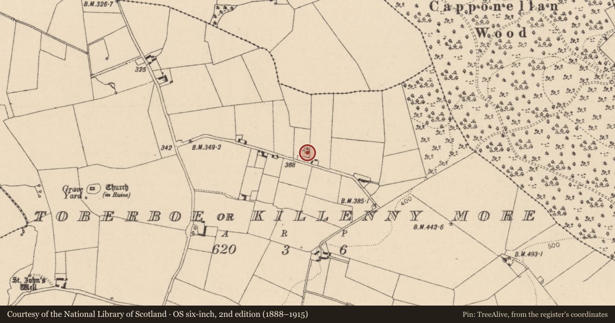 Ordnance Survey six-inch map, 2nd edition (1888–1915) covering the location of Mound, Toberboe Or Killenny More, County Laois, with a pin at the register's coordinates