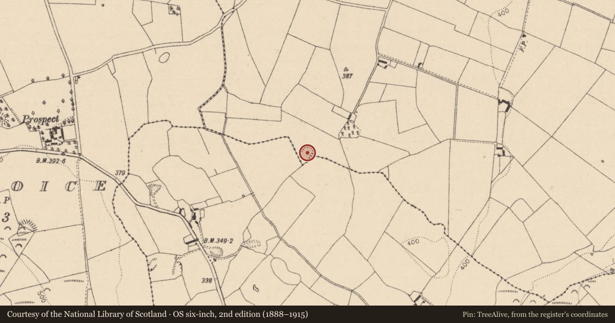 Ordnance Survey six-inch map, 2nd edition (1888–1915) covering the location of Enclosure, Toberboe Or Killenny More, County Laois, with a pin at the register's coordinates