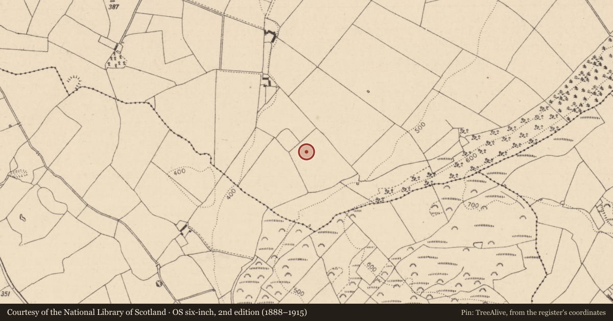 Ordnance Survey six-inch map, 2nd edition (1888–1915) covering the location of Enclosure, Toberboe Or Killenny More, County Laois, with a pin at the register's coordinates