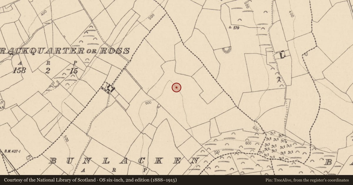 Ordnance Survey six-inch map, 2nd edition (1888–1915) covering the location of Enclosure, Bunlacken, County Laois, with a pin at the register's coordinates