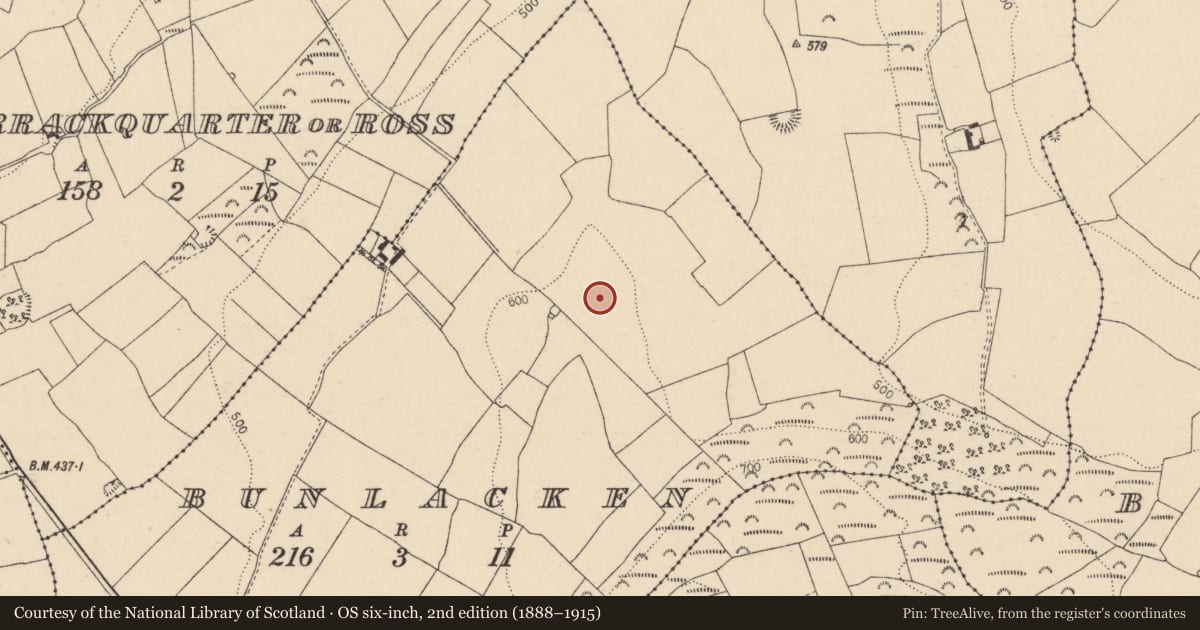 Ordnance Survey six-inch map, 2nd edition (1888–1915) covering the location of Field system, Bunlacken, County Laois, with a pin at the register's coordinates