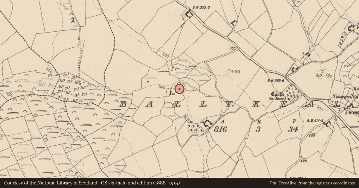 Ordnance Survey six-inch map, 2nd edition (1888–1915) covering the location of Enclosure, Ballykealy, County Laois, with a pin at the register's coordinates