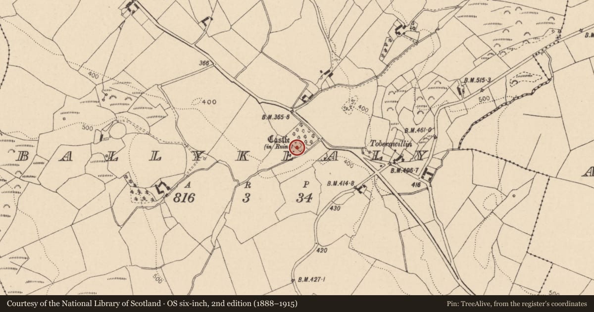 Ordnance Survey six-inch map, 2nd edition (1888–1915) covering the location of Castle - tower house, Ballykealy, County Laois, with a pin at the register's coordinates