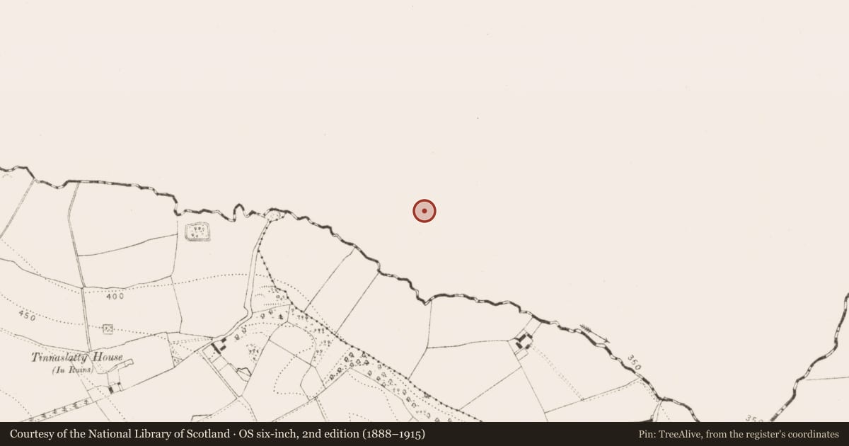 Ordnance Survey six-inch map, 2nd edition (1888–1915) covering the location of Graveyard, Aharney, County Laois, with a pin at the register's coordinates