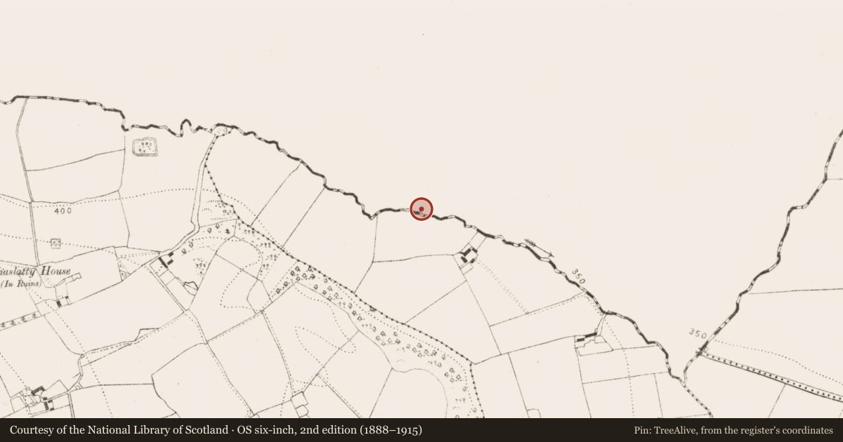 Ordnance Survey six-inch map, 2nd edition (1888–1915) covering the location of Ritual site - holy well, Aharney, County Laois, with a pin at the register's coordinates