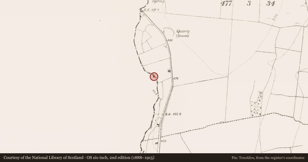 Ordnance Survey six-inch map, 2nd edition (1888–1915) covering the location of Mass-rock, Archerstown, County Laois, with a pin at the register's coordinates