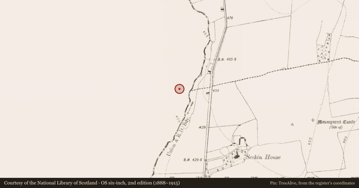 Ordnance Survey six-inch map, 2nd edition (1888–1915) covering the location of Fulacht fia, Archerstown, County Laois, with a pin at the register's coordinates