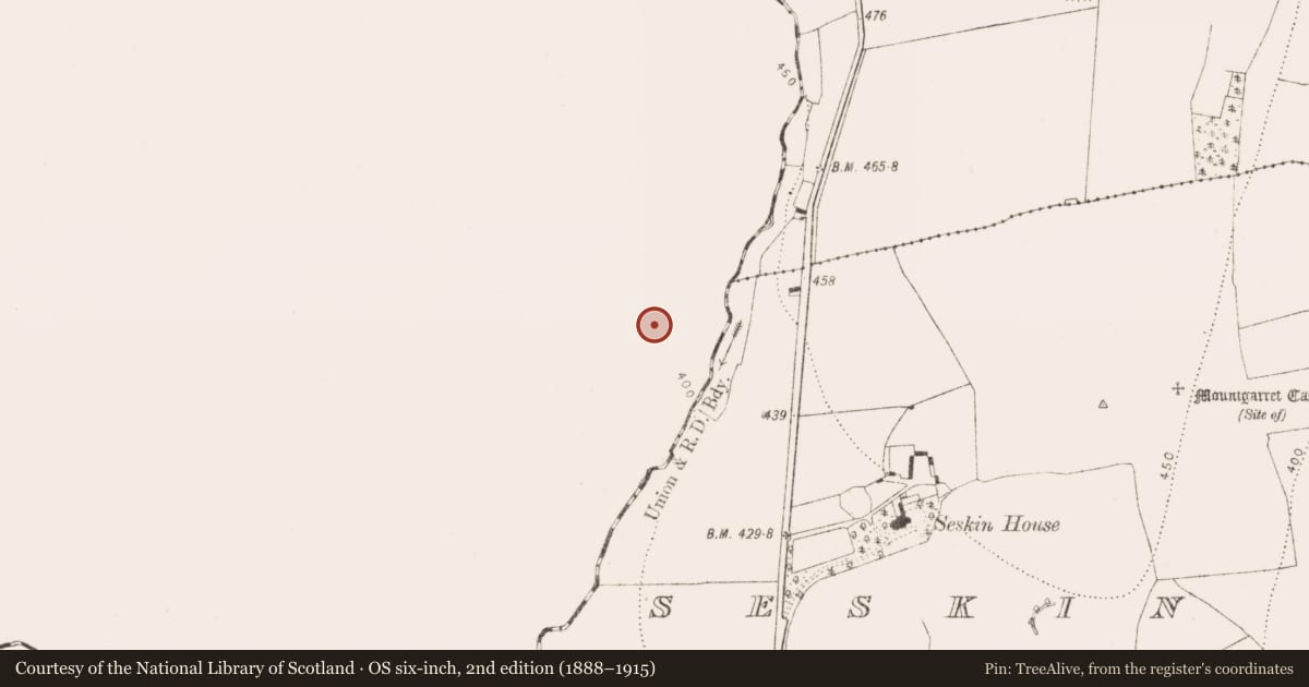Ordnance Survey six-inch map, 2nd edition (1888–1915) covering the location of Ringfort - rath, Archerstown, County Laois, with a pin at the register's coordinates
