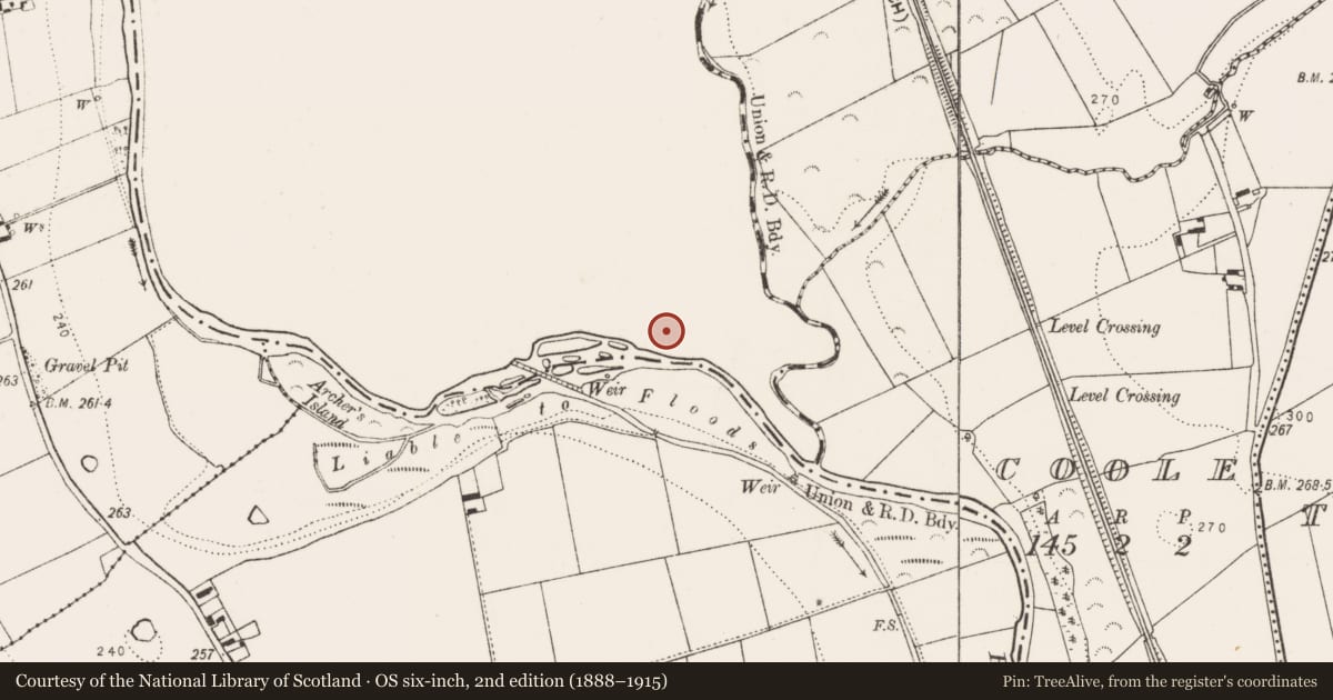 Ordnance Survey six-inch map, 2nd edition (1888–1915) covering the location of Castle - unclassified, Grenan, County Laois, with a pin at the register's coordinates