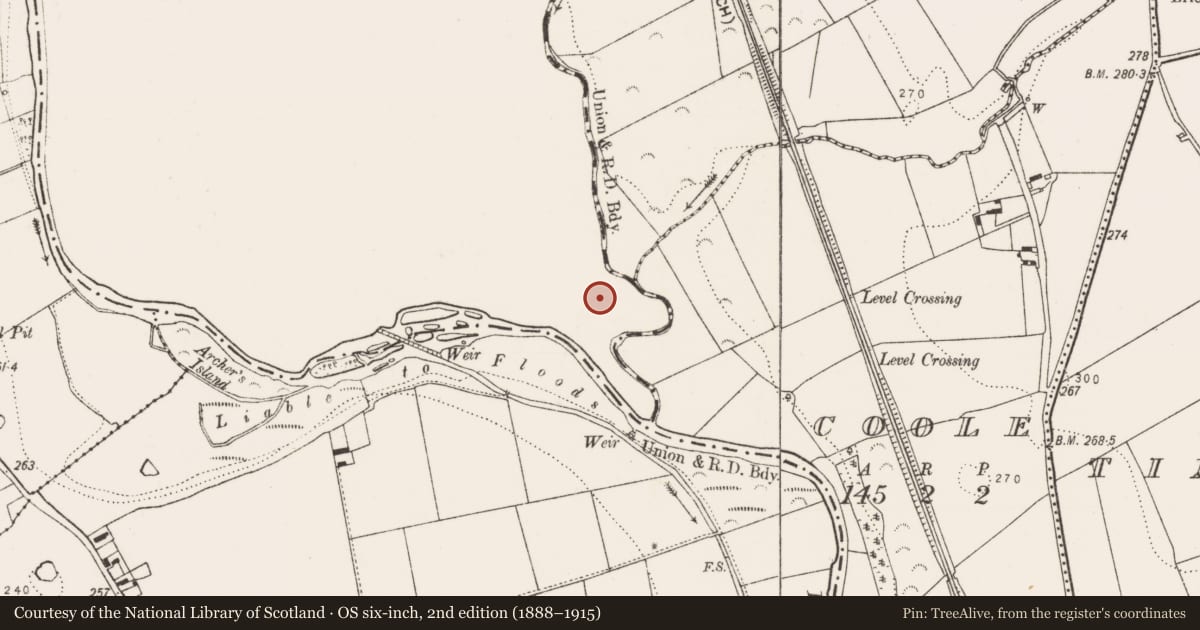 Ordnance Survey six-inch map, 2nd edition (1888–1915) covering the location of Castle - motte, Grenan, County Laois, with a pin at the register's coordinates