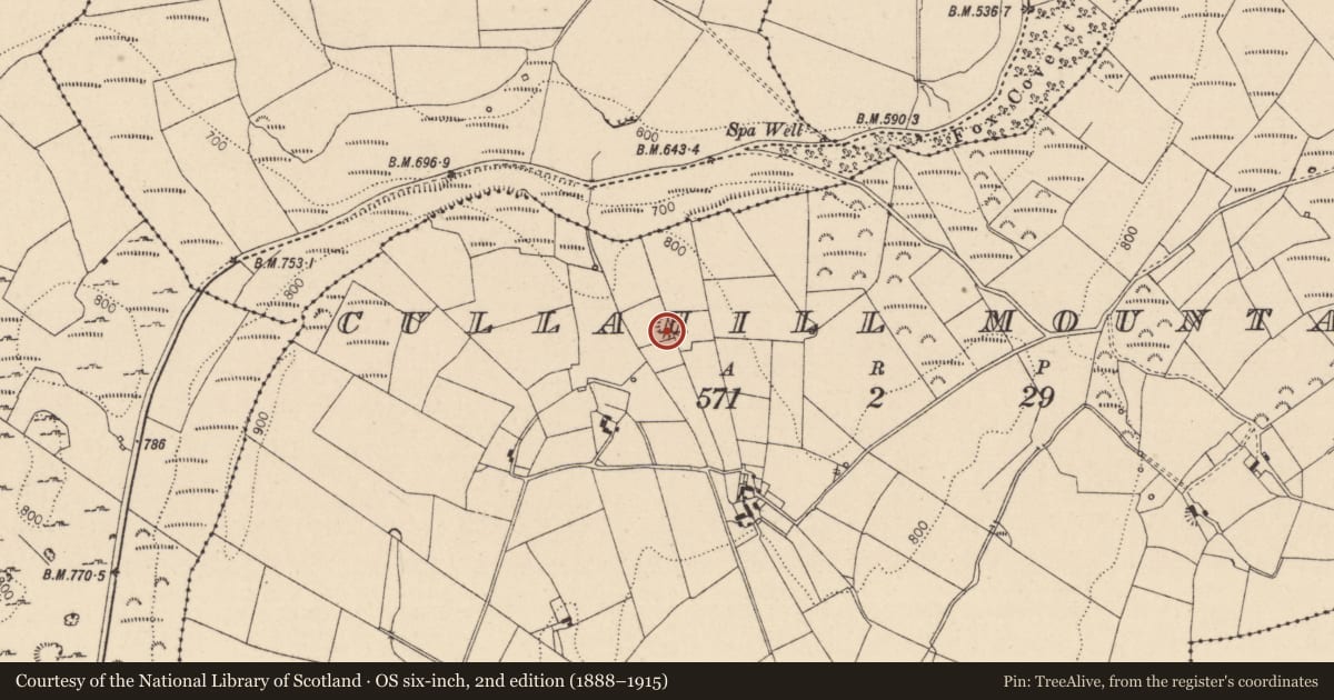Ordnance Survey six-inch map, 2nd edition (1888–1915) covering the location of Ringfort - rath, Cullahill Mountain, County Laois, with a pin at the register's coordinates