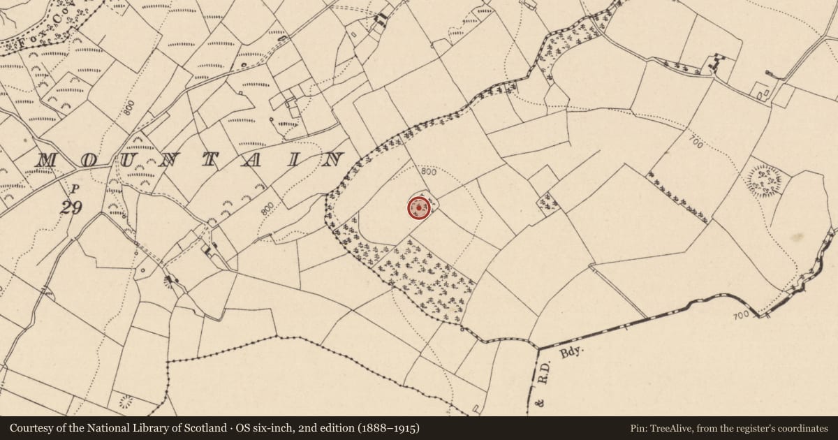 Ordnance Survey six-inch map, 2nd edition (1888–1915) covering the location of Enclosure, Ballykealy, County Laois, with a pin at the register's coordinates