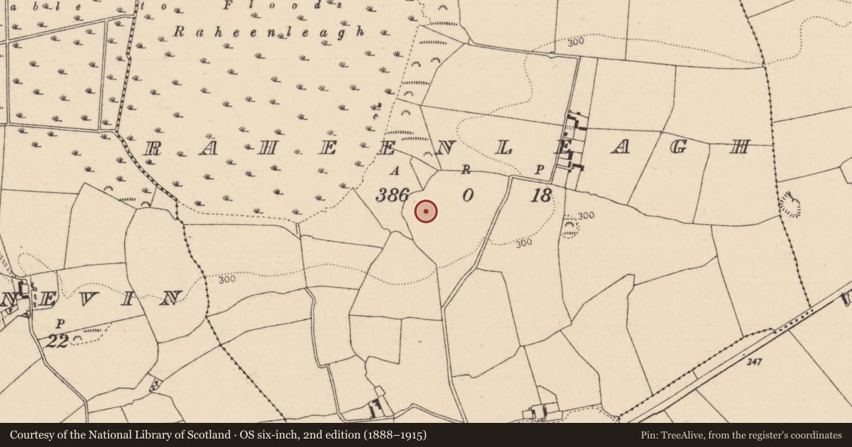 Ordnance Survey six-inch map, 2nd edition (1888–1915) covering the location of Enclosure, Raheenleagh, County Laois, with a pin at the register's coordinates