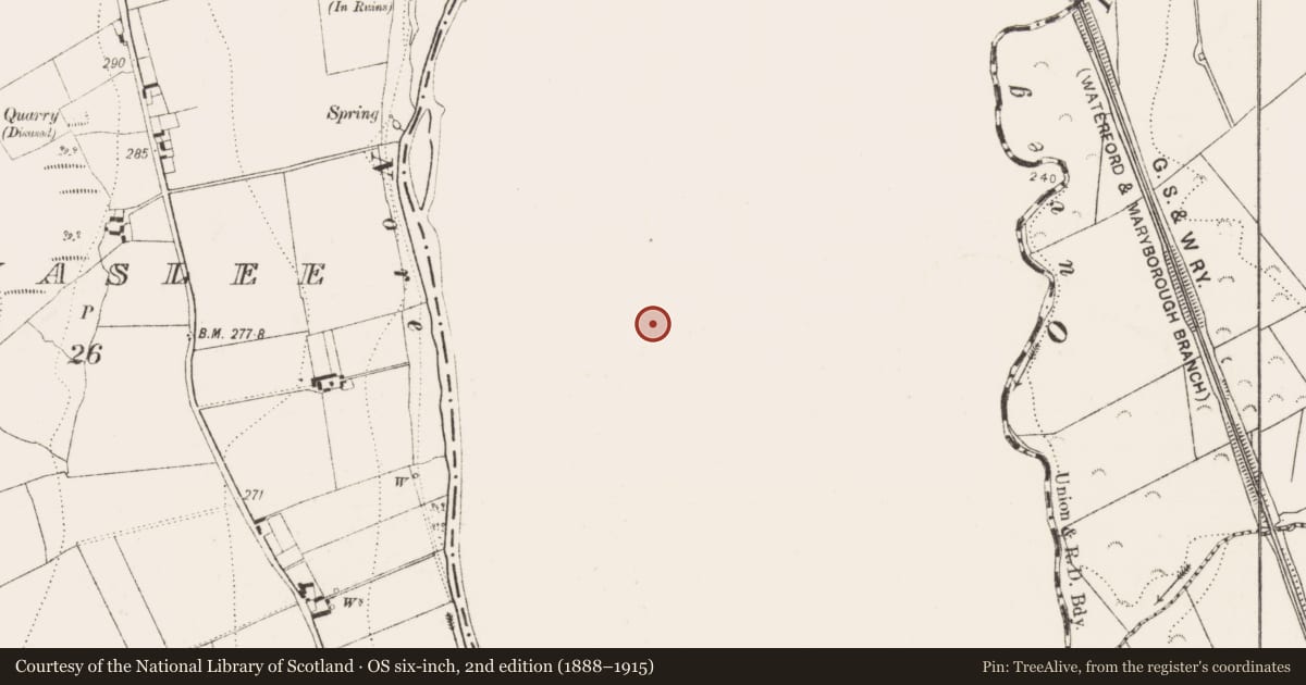 Ordnance Survey six-inch map, 2nd edition (1888–1915) covering the location of Enclosure, Grenan, County Laois, with a pin at the register's coordinates