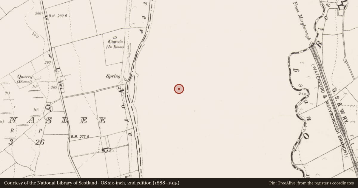 Ordnance Survey six-inch map, 2nd edition (1888–1915) covering the location of Ring-ditch, Grenan, County Laois, with a pin at the register's coordinates