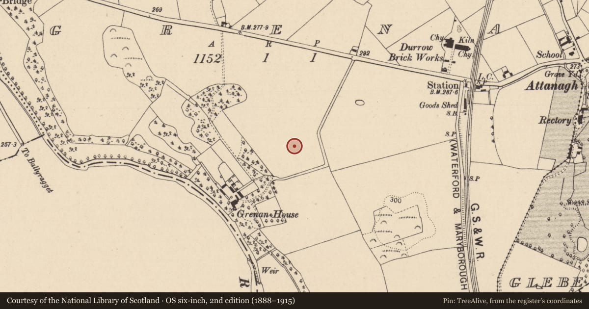 Ordnance Survey six-inch map, 2nd edition (1888–1915) covering the location of Enclosure, Grenan, County Laois, with a pin at the register's coordinates