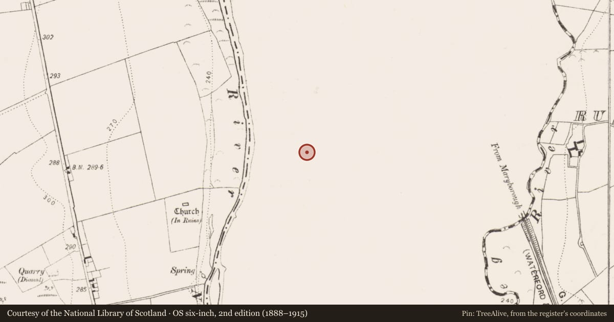 Ordnance Survey six-inch map, 2nd edition (1888–1915) covering the location of Enclosure, Grenan, County Laois, with a pin at the register's coordinates