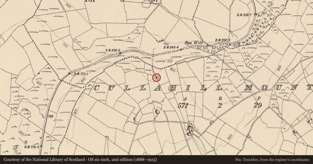 Ordnance Survey six-inch map, 2nd edition (1888–1915) covering the location of Fulacht fia, Cullahill Mountain, County Laois, with a pin at the register's coordinates