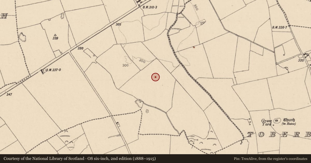 Ordnance Survey six-inch map, 2nd edition (1888–1915) covering the location of Ring-ditch, Newtown, County Laois, with a pin at the register's coordinates