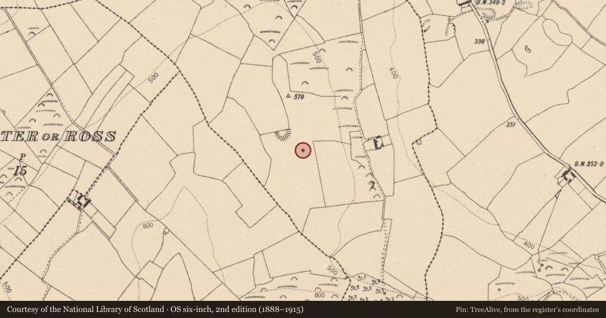 Ordnance Survey six-inch map, 2nd edition (1888–1915) covering the location of Ringfort - rath, Graigueavoice, County Laois, with a pin at the register's coordinates