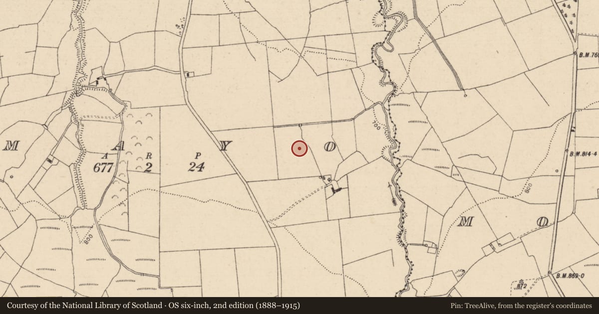 Ordnance Survey six-inch map, 2nd edition (1888–1915) covering the location of Enclosure, Mayo, County Laois, with a pin at the register's coordinates